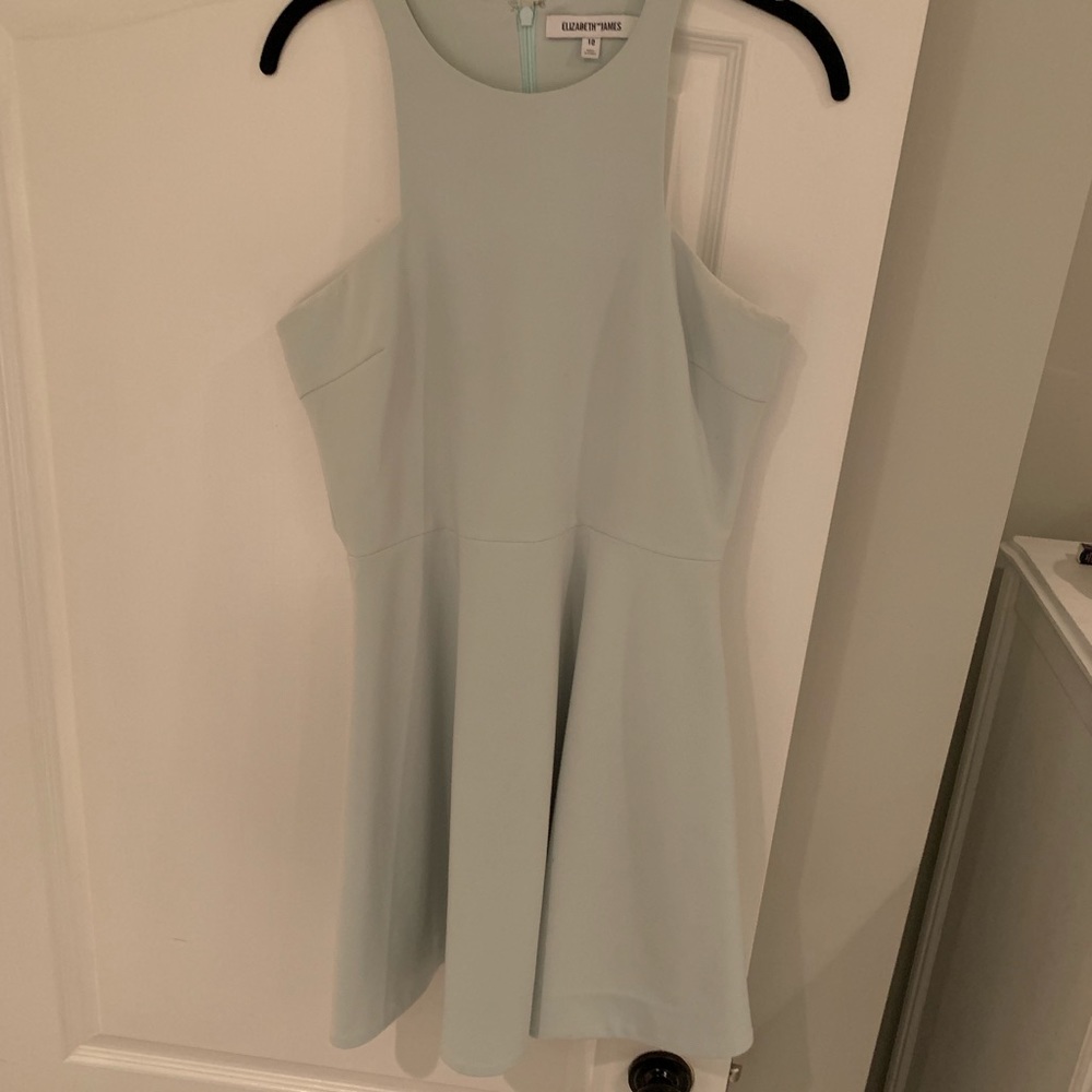 Elizabeth & James high neck fit and flare dress